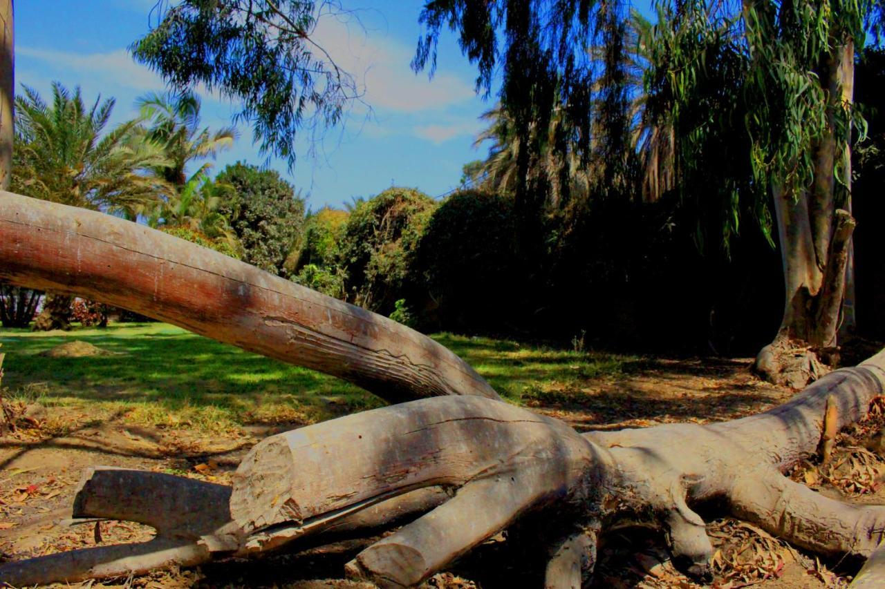 Casa De Campo Privada Cerca A Chan Chan Трухільйо Екстер'єр фото