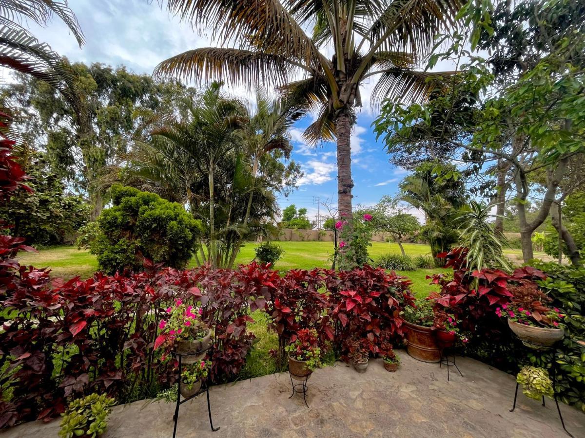 Casa De Campo Privada Cerca A Chan Chan Трухільйо Екстер'єр фото